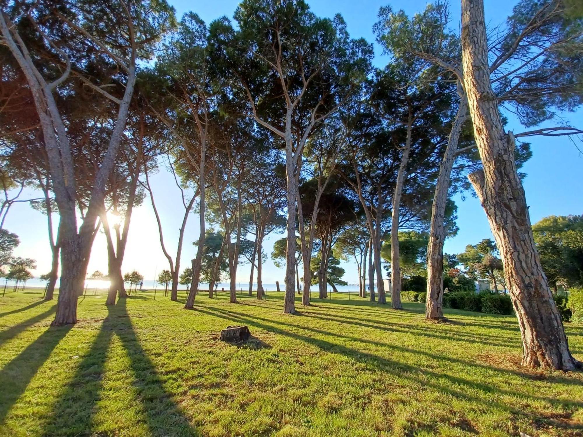 Family Apartments Zadar - Ryanair Exclusive Zewnętrze zdjęcie